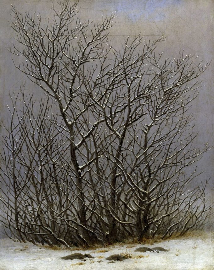 Árboles y arbustos bajo la nieve – Caspar David Friedrich Caspar David Friedrich 2024-09-20