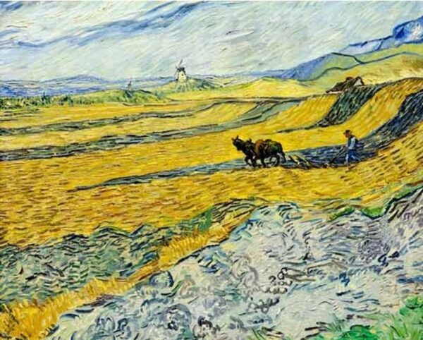 Campo con campesino arando y molino – Van Gogh Vincent Van Gogh 2024-11-21