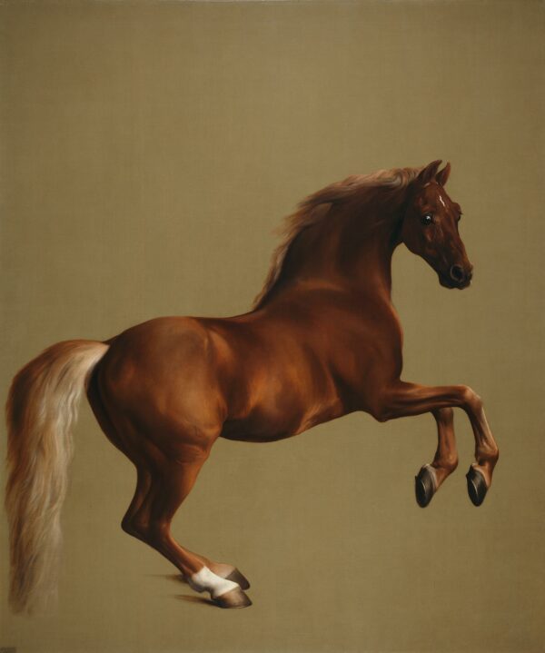 Caballo silbador – George Stubbs George Stubbs 2024-12-31