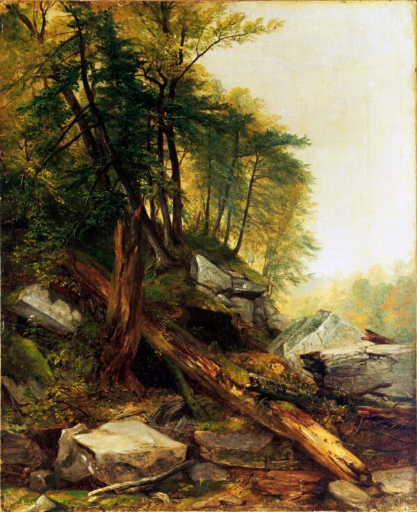 Paisaje de Kaaterskill – Asher Brown Durand Asher Brown Durand 2024-12-22