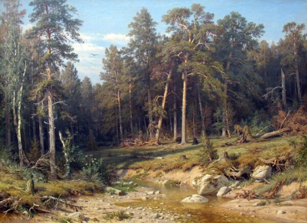 Un bosque de pinos. Bosque de mástiles en la provincia de Viatka – Ivan Shishkin Iván Shishkin 2024-11-21