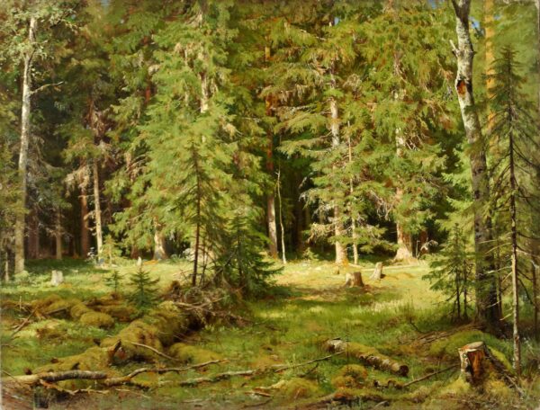 Anagoría del bosque – Ivan Shishkin Iván Shishkin 2024-11-21