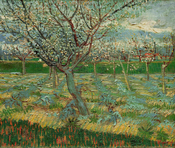 Huerto en flor – Van Gogh Vincent Van Gogh 2024-11-21