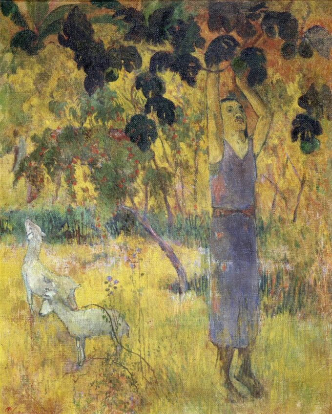 Hombre recogiendo frutas de un árbol – Paul Gauguin Paul Gauguin 2024-09-20