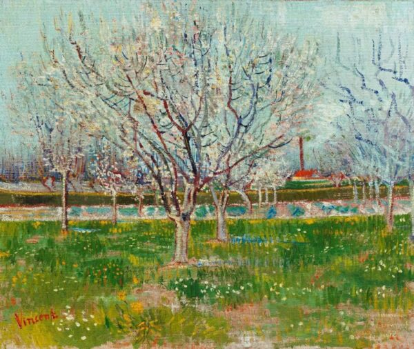 Jardín frutal floreciente – Van Gogh Vincent Van Gogh 2024-11-21