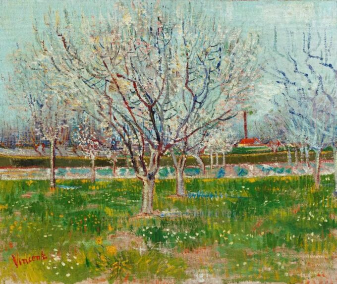 Jardín frutal floreciente – Van Gogh Vincent Van Gogh 2024-09-19