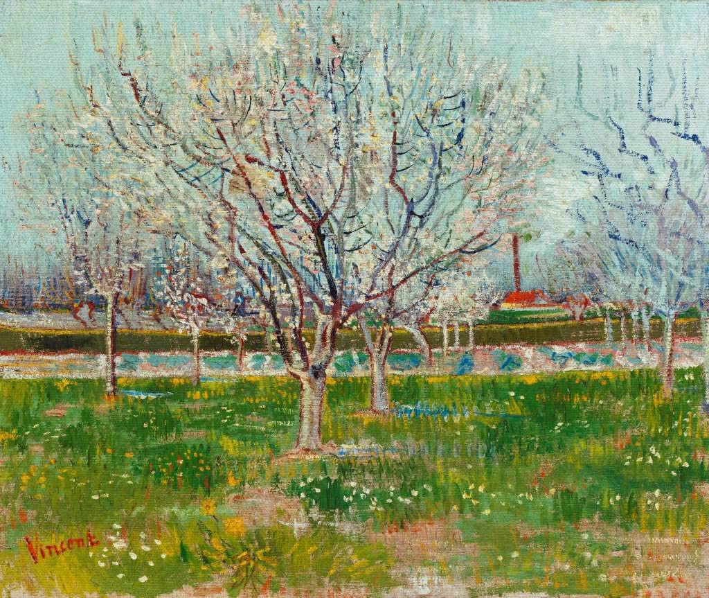 Jardín frutal floreciente – Van Gogh Vincent Van Gogh 2024-09-20 2