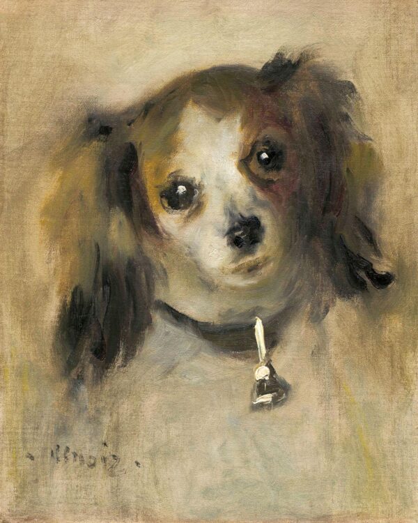 Cabeza de perro – Pierre-Auguste Renoir Pierre-Auguste Renoir 2024-11-21