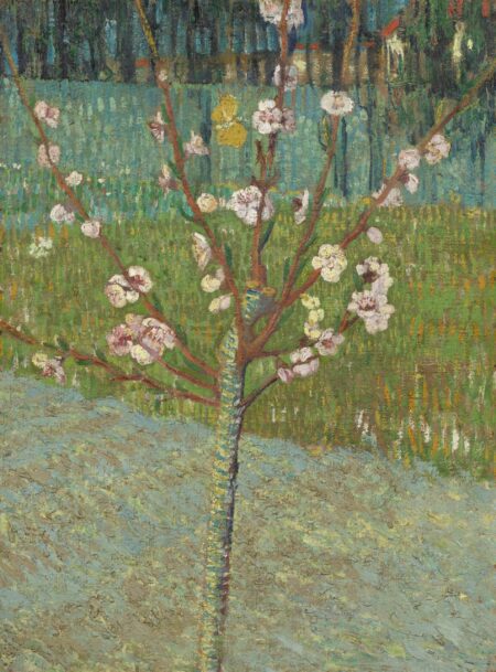 Almendro en flor – Van Gogh Vincent Van Gogh 2024-12-28