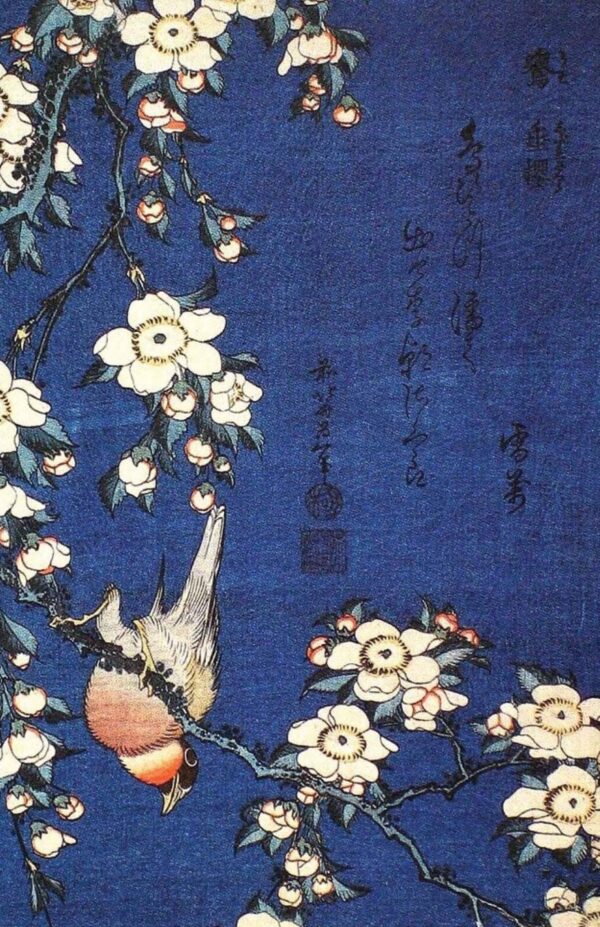 Pinzón y flores de cerezo llorón – Katsushika Hokusai» Katsushika Hokusai 2024-11-21