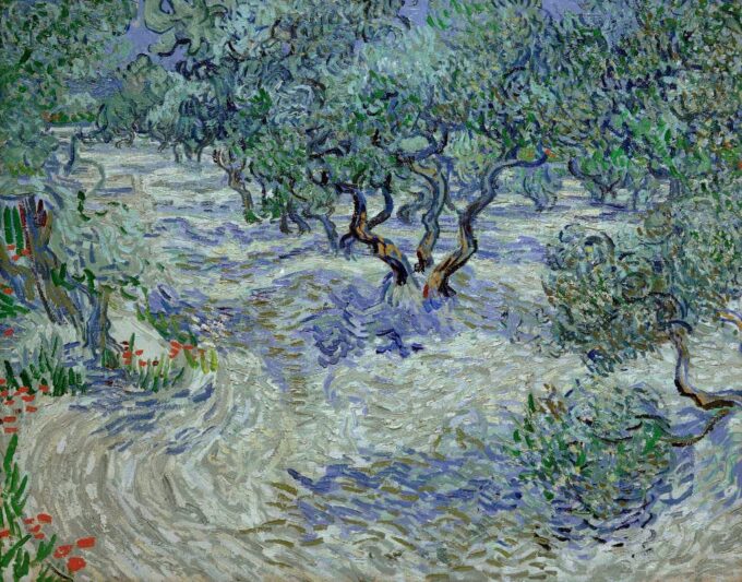 Olivenhain – Van Gogh Vincent Van Gogh 2024-09-19