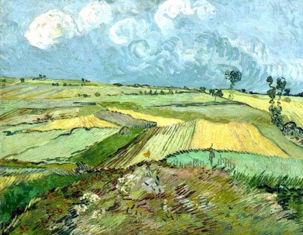 Campos de trigo después de la lluvia – Van Gogh Vincent Van Gogh 2024-11-21