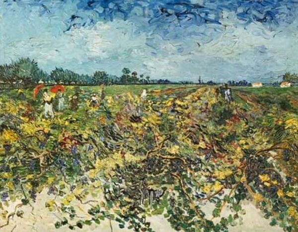 El viñedo verde – Van Gogh Vincent Van Gogh 2024-11-21