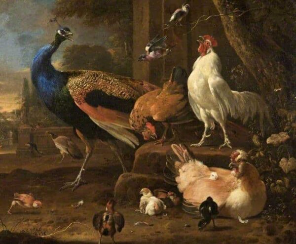 Aves de corral – Melchior d’Hondecoeter Melchior d'Hondecoeter 2025-01-02