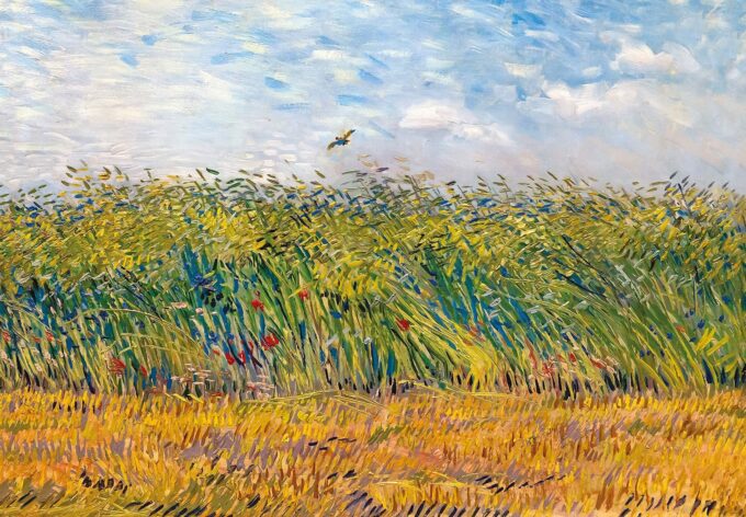 Campo de trigo con alondras – Van Gogh Vincent Van Gogh 2024-09-19