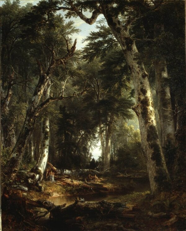 En el bosque, 1855 – Asher Brown Durand Asher Brown Durand 2024-12-22