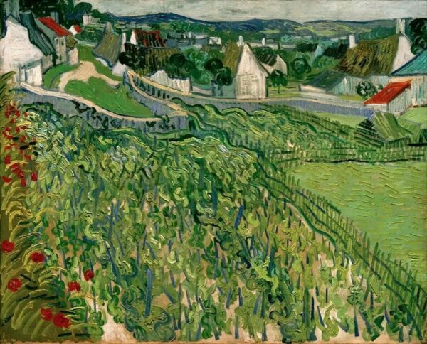 Viñedos de Auvers – Van Gogh Vincent Van Gogh 2024-11-21