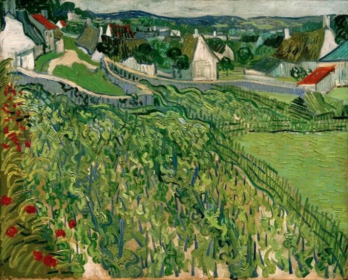 Viñedos de Auvers – Van Gogh Vincent Van Gogh 2024-09-20