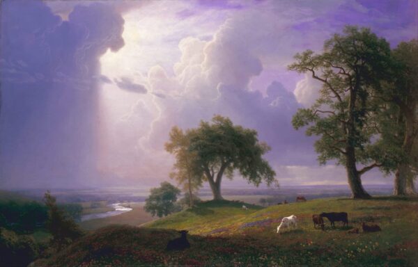 Primavera en California – Albert Bierstadt Albert Bierstadt 2024-11-21