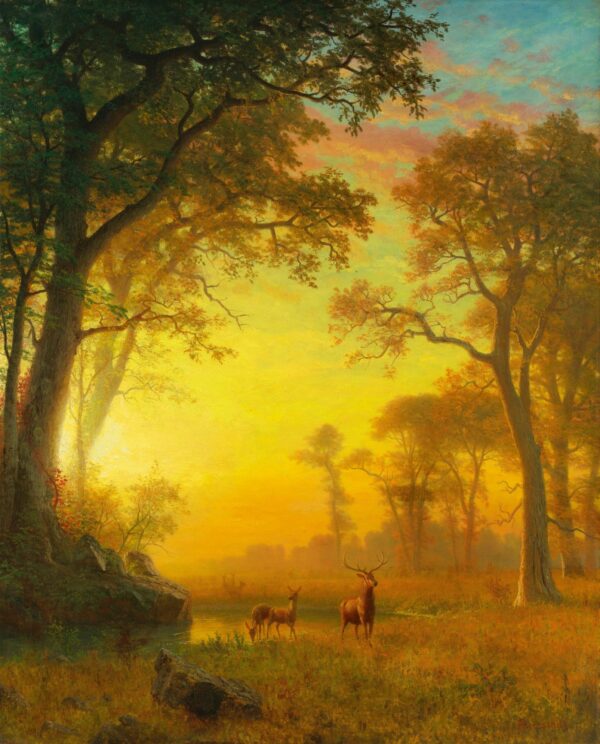 Luz en el bosque – Albert Bierstadt Albert Bierstadt 2024-11-21