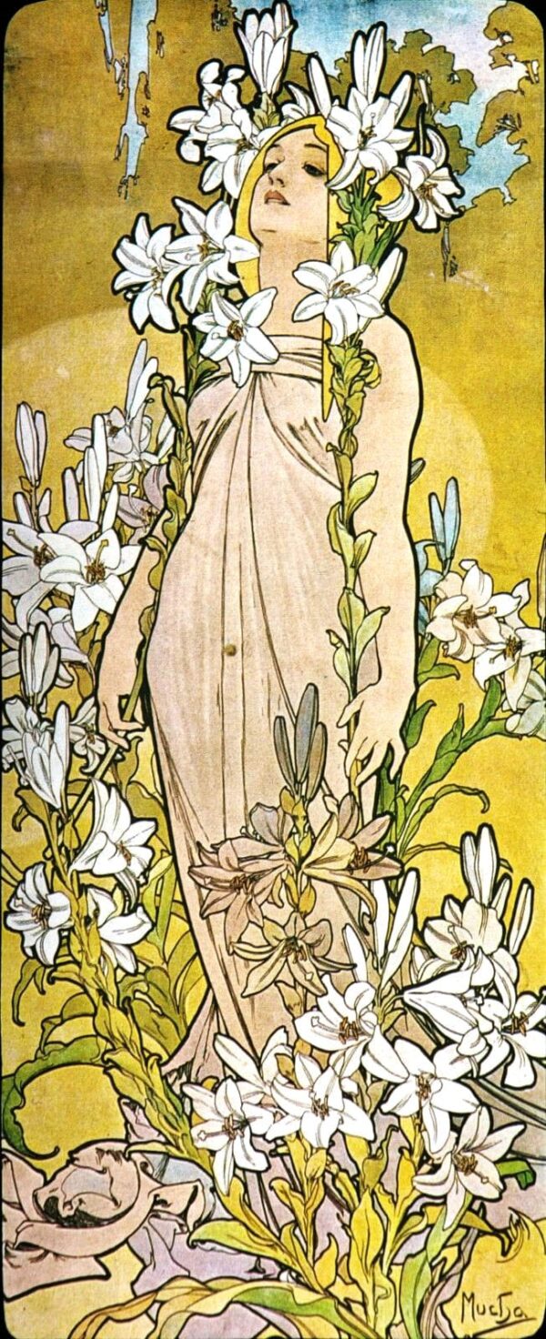 La flor: Lirio – Mucha Alfons Mucha 2024-11-21