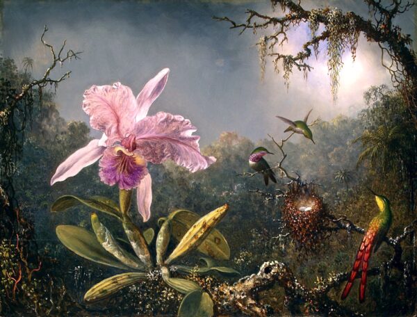 Orquídea Cattleya y tres colibríes – Martin Johnson Heade Martin Johnson Heade 2024-11-21