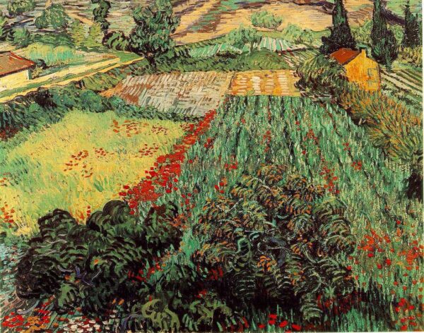 Campos de amapolas – Van Gogh Vincent Van Gogh 2024-11-21