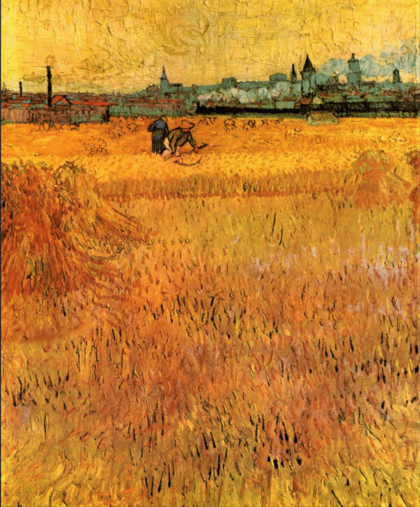 Campo de trigo en Arles – Van Gogh Vincent Van Gogh 2024-11-21