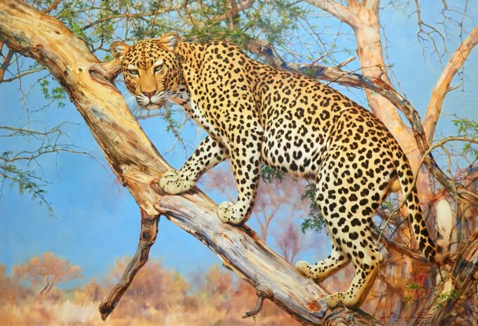 Leopardo en un árbol – 160 x 110 cm La Galería de Arte Master Apollon 2024-09-19