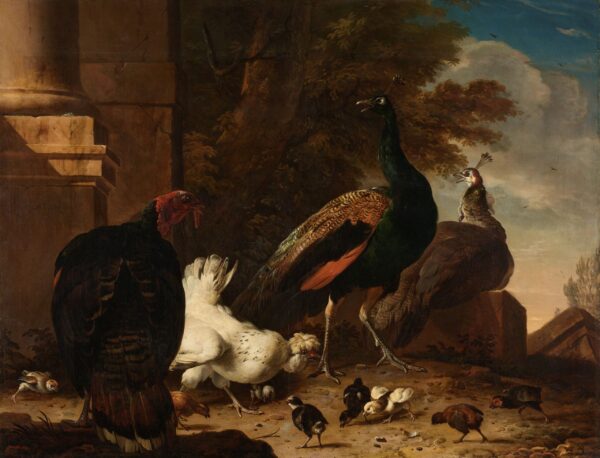 Una gallina con pavos y un pavo real, alrededor de 1680 – Melchior d’Hondecoeter Melchior d'Hondecoeter 2025-01-02