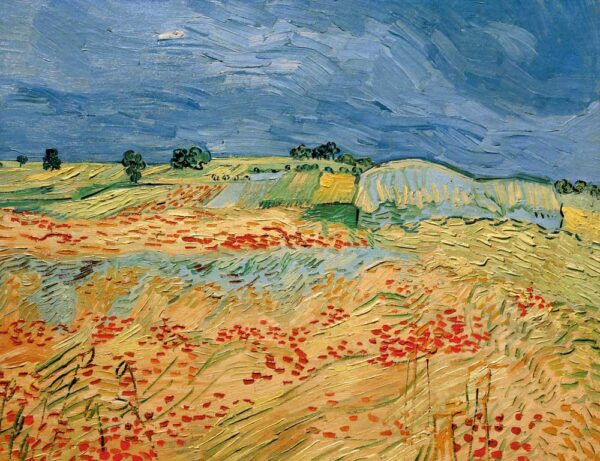 Campos de amapolas en flor – Van Gogh Vincent Van Gogh 2024-11-21