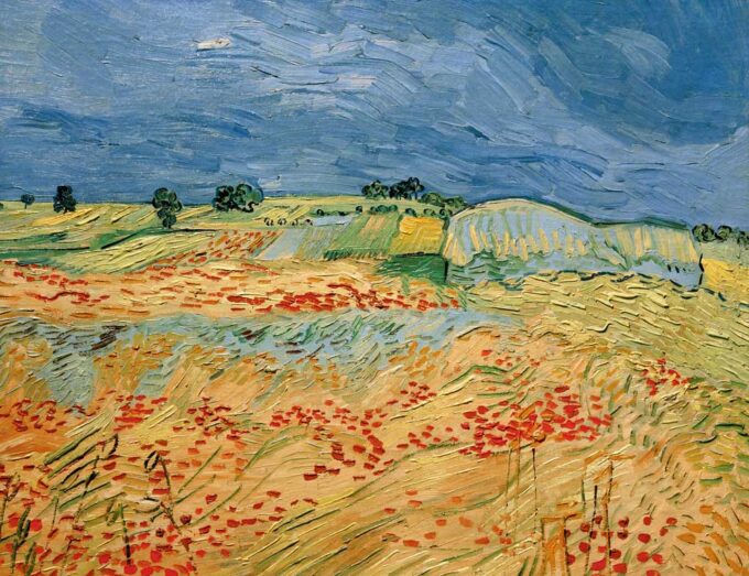 Campos de amapolas en flor – Van Gogh Vincent Van Gogh 2024-09-19