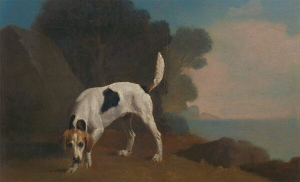 Foxhound – George Stubbs George Stubbs 2024-12-31