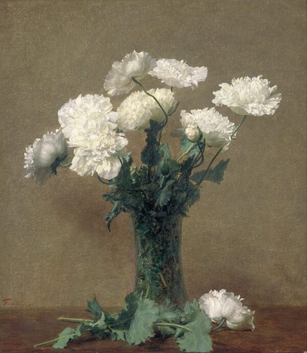 Amapolas – Henri Fantin-Latour Henri Fantin-Latour 2024-12-29