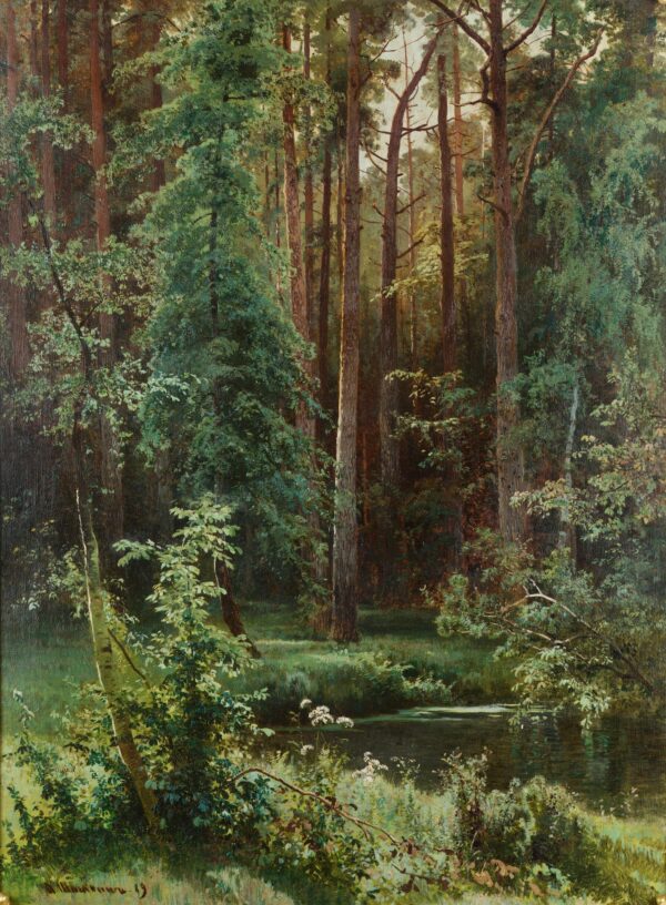 Boscoso – Ivan Shishkin» Iván Shishkin 2024-11-21