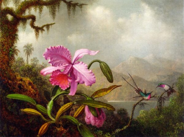 Orquídeas y colibríes – Martin Johnson Heade Martin Johnson Heade 2024-11-21