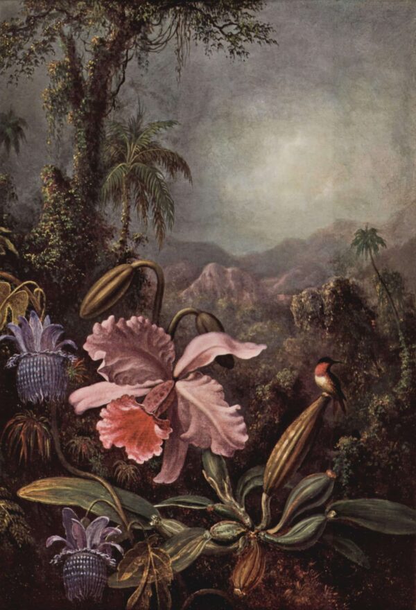 Orquídea, Pasiflora y Colibrí – Martin Johnson Heade Martin Johnson Heade 2024-11-21