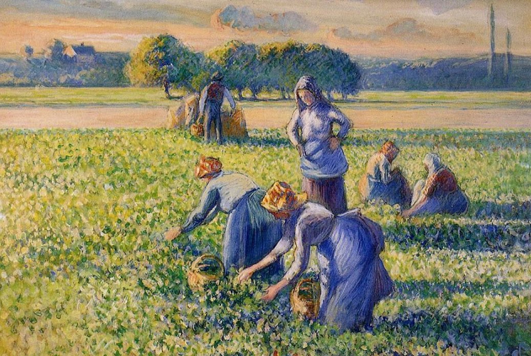 La recolección de guisantes – Camille Pissarro Camille Pissarro 2024-09-20 2