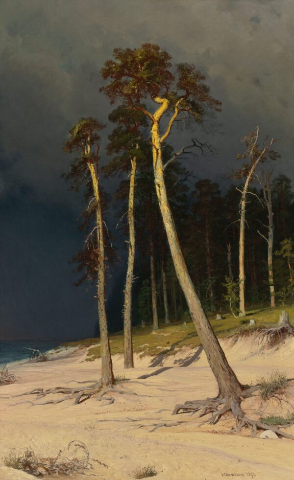 Costa arenosa – Ivan Shishkin Iván Shishkin 2024-11-21