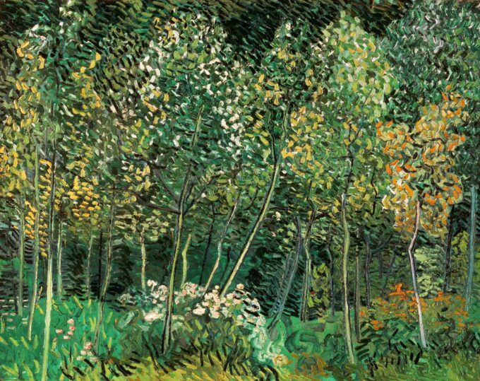 Pequeño bosque – Van Gogh Vincent Van Gogh 2024-09-20