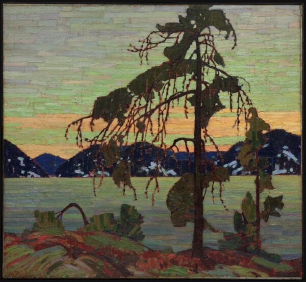 El pino gris – Tom Thomson Tom Thomson 2024-12-22