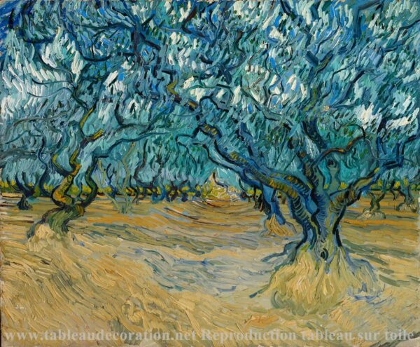 El Campo de Olivos – Van Gogh Vincent Van Gogh 2024-11-21