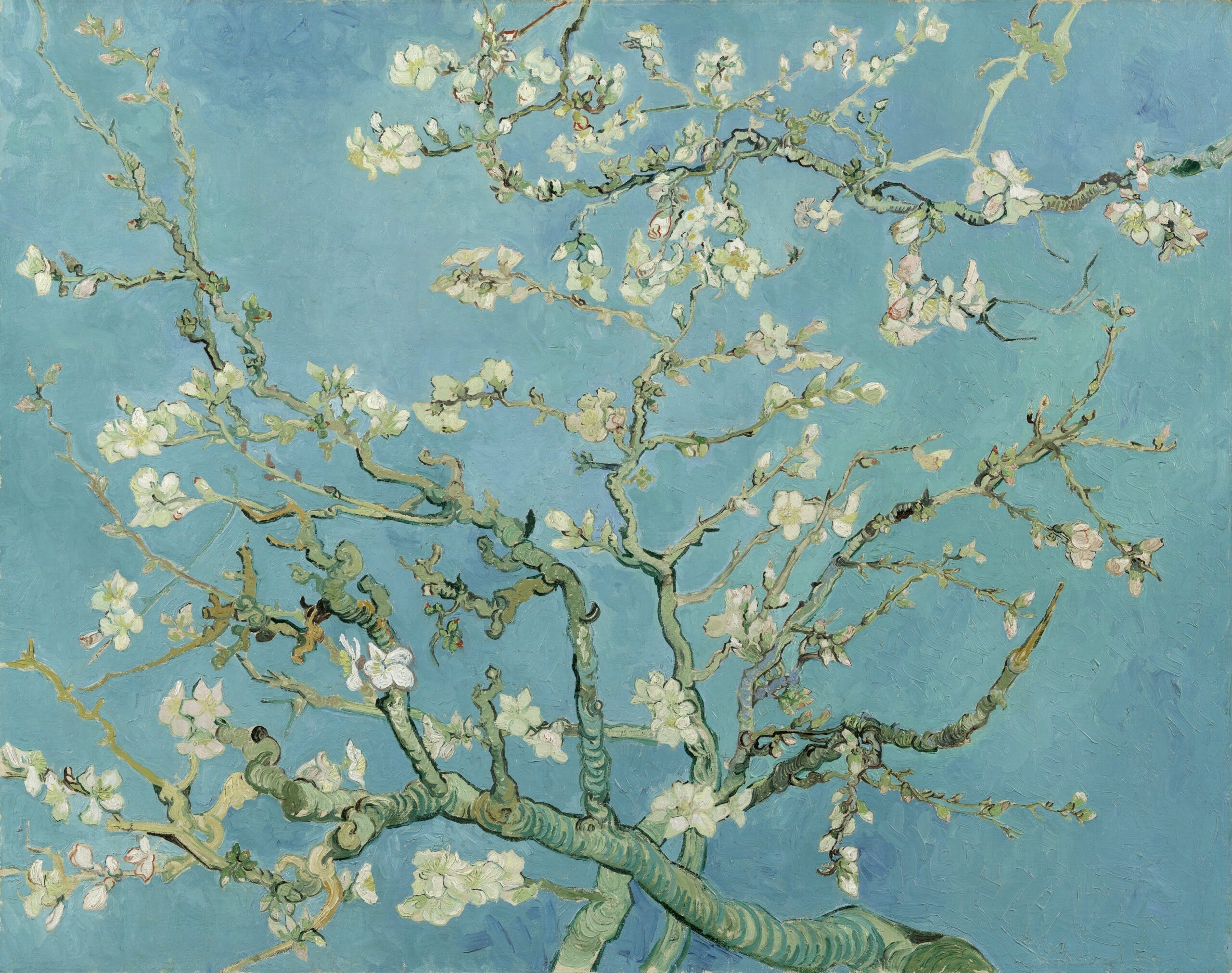 Los almendros en flor – Van Gogh Pinturas Populares 2024-09-20 2