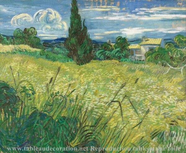 El campo de trigo verde con cipreses – Van Gogh Pinturas Populares 2024-11-21