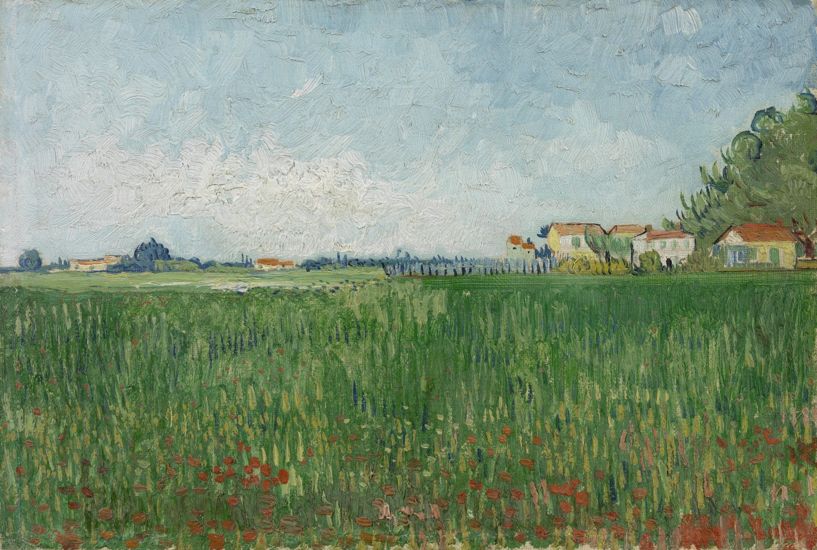 Campo de amapolas – Van Gogh Vincent Van Gogh 2024-09-19 2