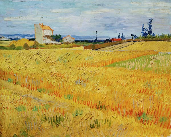 Campo de trigo – Van Gogh Vincent Van Gogh 2024-09-20 2