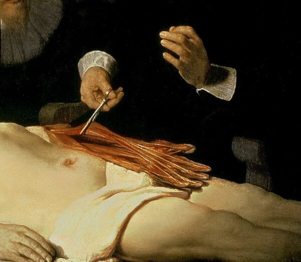 La lección de anatomía del Dr. Nicolaes Tulp, 1632 (detalle de 7543) de Rembrandt van Rijn Rembrandt van Rijn 2024-11-21