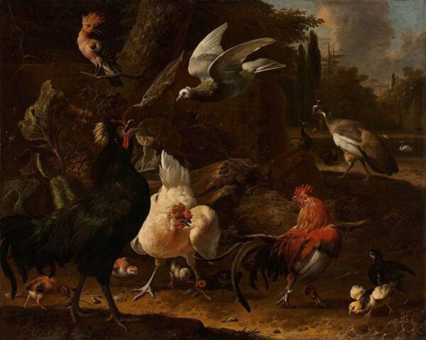 Pájaros en un parque – Melchior d’Hondecoeter Melchior d'Hondecoeter 2025-01-02