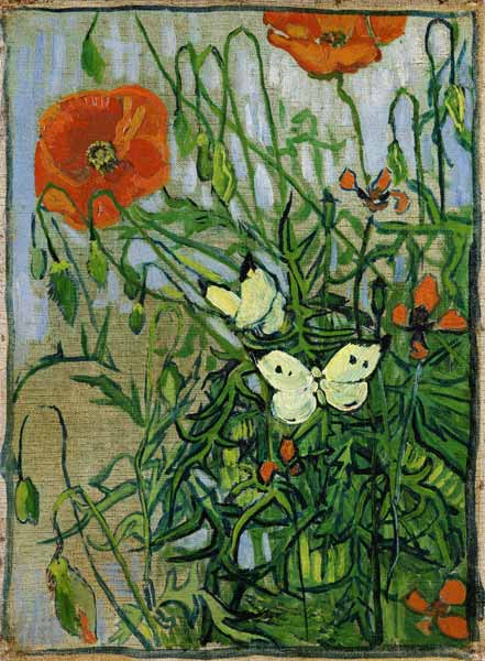 Mariposas y amapolas – Van Gogh Vincent Van Gogh 2024-09-19