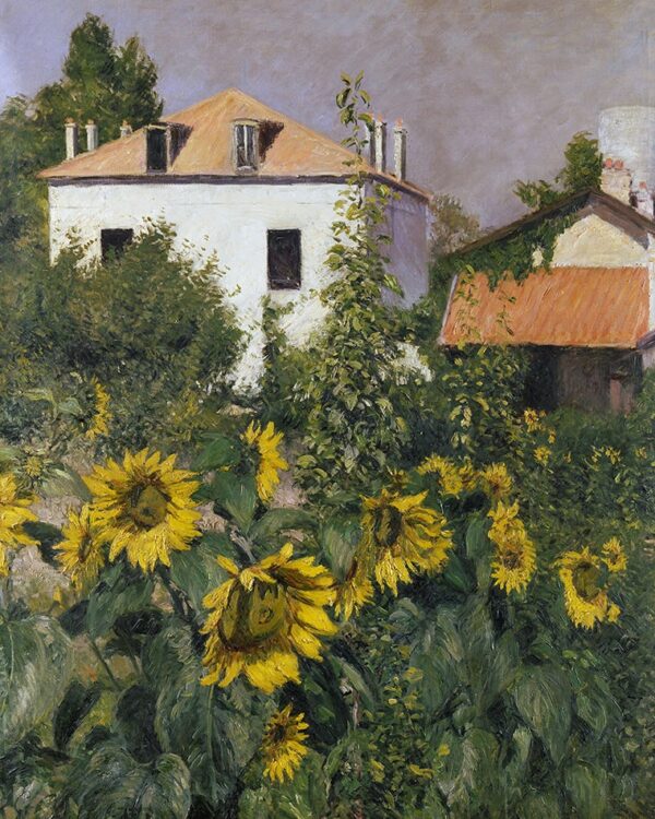 Girasoles en el jardín de Petit Gennevilliers – Caillebotte Gustave Caillebotte 2024-11-21